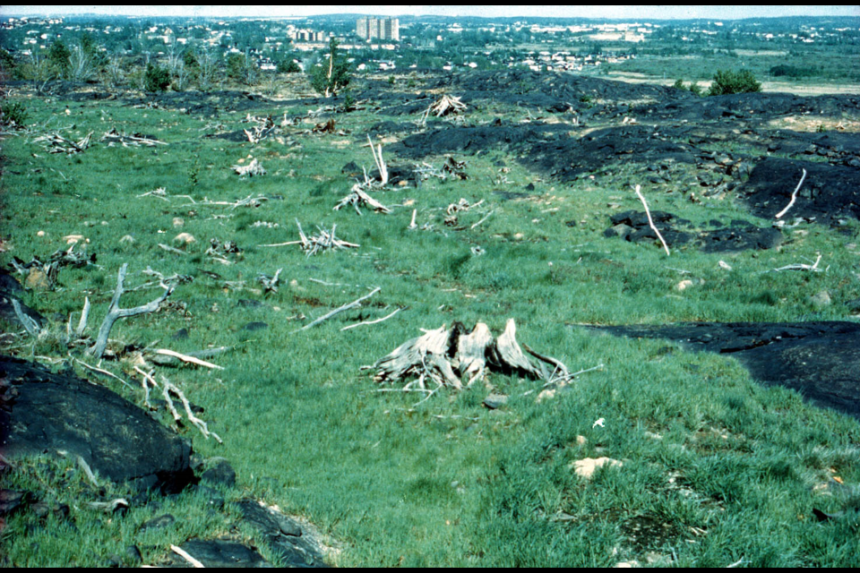 The City’s Regreening Advisory Panel was established in 1972 to bring together local organizations and businesses to find ways of getting plants to grow on the landscape of black rock and bare soil that defined our community – the infamous Sudbury ‘moonscape’.