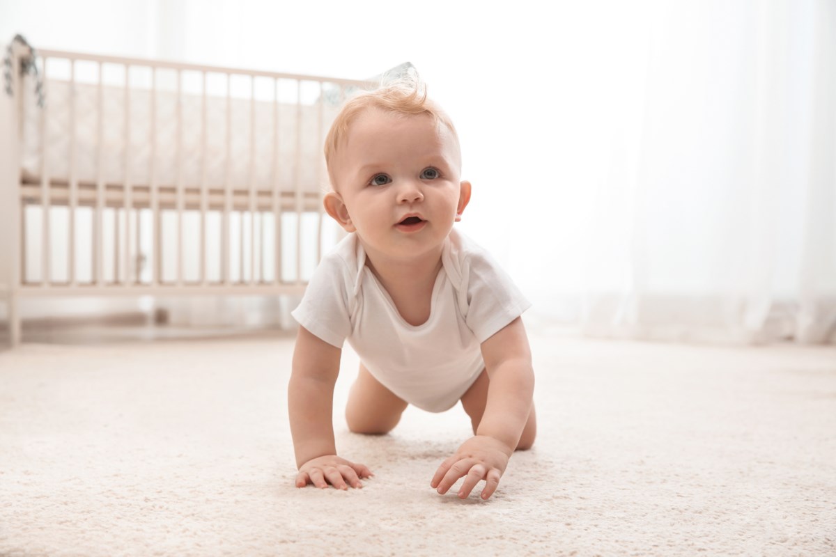Breathe easier indoors with hypo-allergenic carpet from House of Broadloom