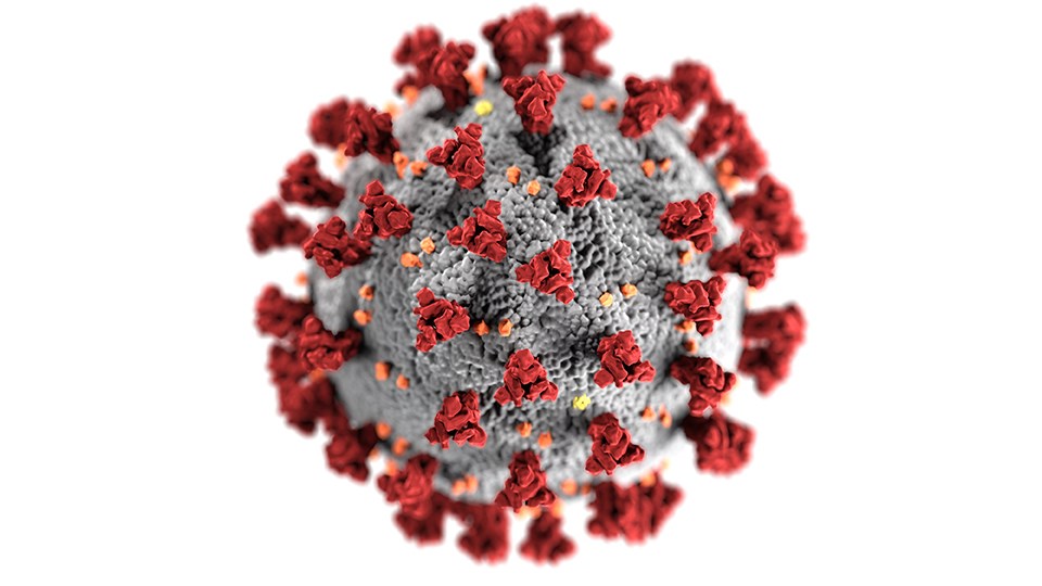 covid19_virus_02