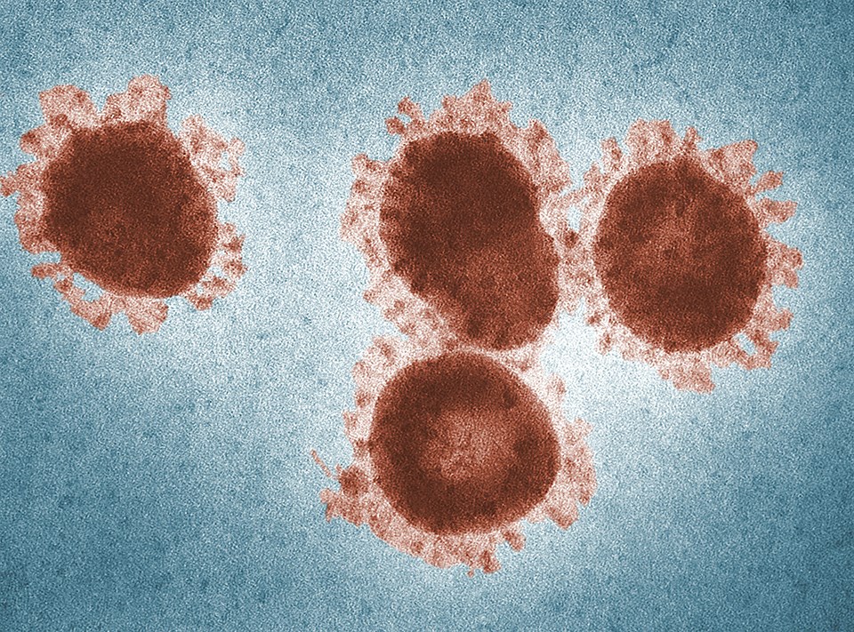 covid19_virus_03