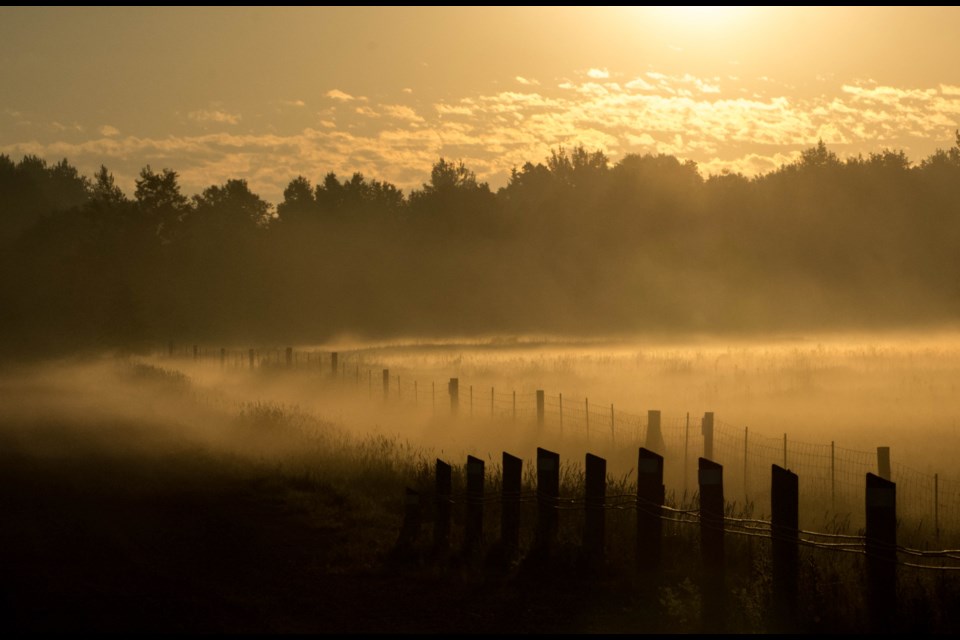 Foggy sunrise in Naughton. Photo: Brian Morrison