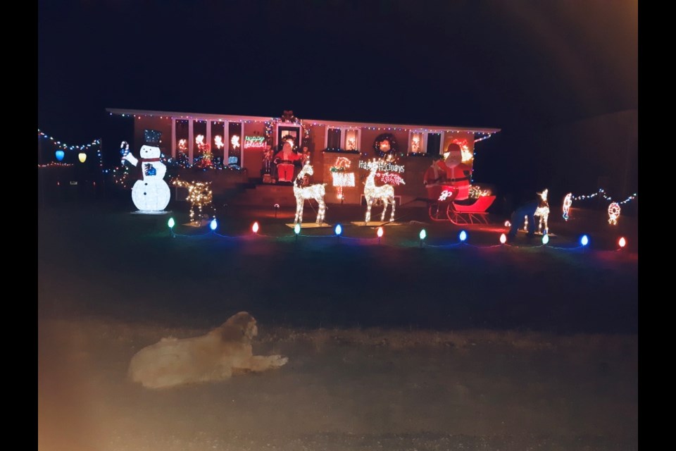 Carole and Jeff McColeman invite you to check out the decorations at their Hanmer home and contribute to the Edgar Burton Food Drive. Abby the dog is showing off their yard. (Supplied/Kimberly Carriere)
