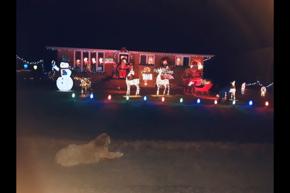 Carole and Jeff McColeman invite you to check out the decorations at their Hanmer home and contribute to the Edgar Burton Food Drive. Abby the dog is showing off their yard. (Supplied/Kimberly Carriere)
