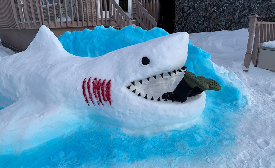 Chantal Paquette and a handful of family members took shifts to create Sammy the shark in her parent’s backyard in Wahnapitae during the lockdown in January and February. 