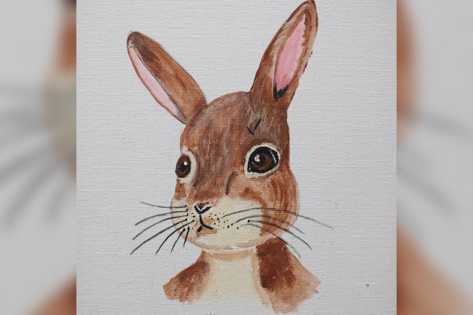 Artwork for the Stewart the Bunny audio project.