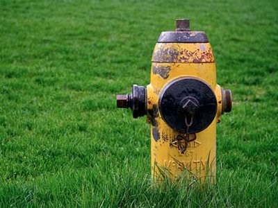 fire-hydrant-yellow