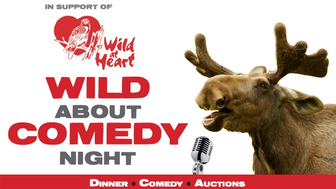 250516_wild_comedy