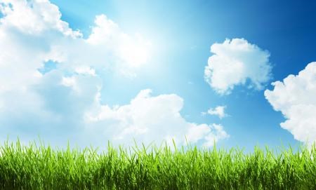 Beautiful Summer Day On Tap Sudbury Com Beautiful Summer Day On Tap Sudbury Com