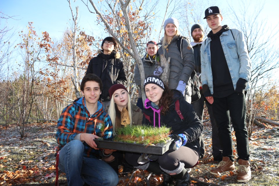 Graphic Design students and faculty from Cambrian College got their hands dirty planting saplings at Stonehill Golf Club on Oct. 28. Photo by Heather Green-Oliver.