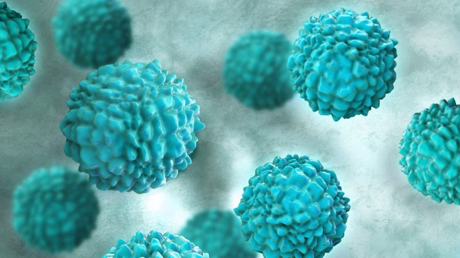 Norovirus.