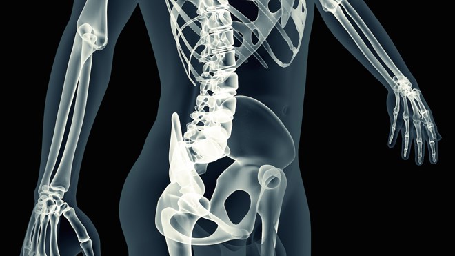 xray-body-scan-skeleton