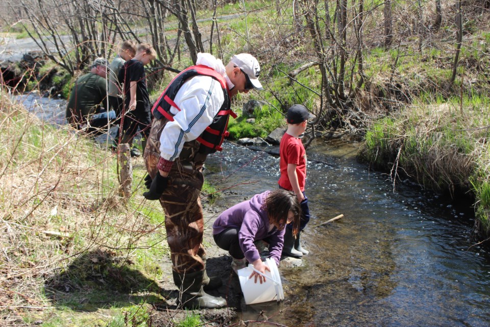 Close to 300 Sudburians showed up to release 1,000 brook trout into Junction Creek on May 13. (Photo: Matt Durnan)