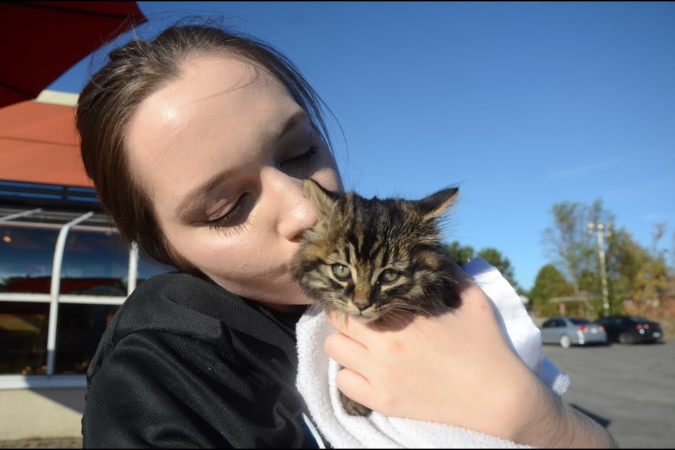 Baylee Dequanne gives some affection to the kitten she helped rescue from a storm drain on Hwy. 144 in Chelmsford on Oct. 8. The cat has been named Blizzard, as Dequanne is an employee at Dairy Queen. (Arron Pickard/Sudbury.com)