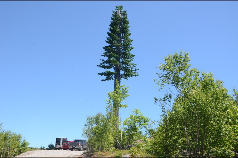 A new Rogers cell tower in Greater Sudbury has residents asking questions — because it's designed to look like a tree. (Arron Pickard/Sudbury.com)