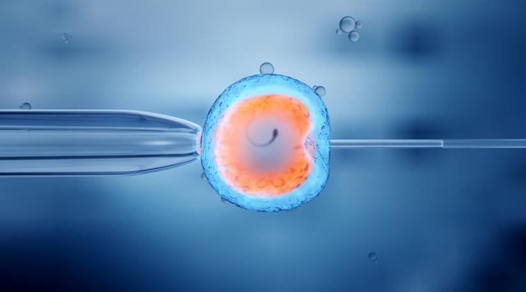 BEYOND LOCAL: Stem cell research community drops 14-day limit on human  embryo research - Orillia News