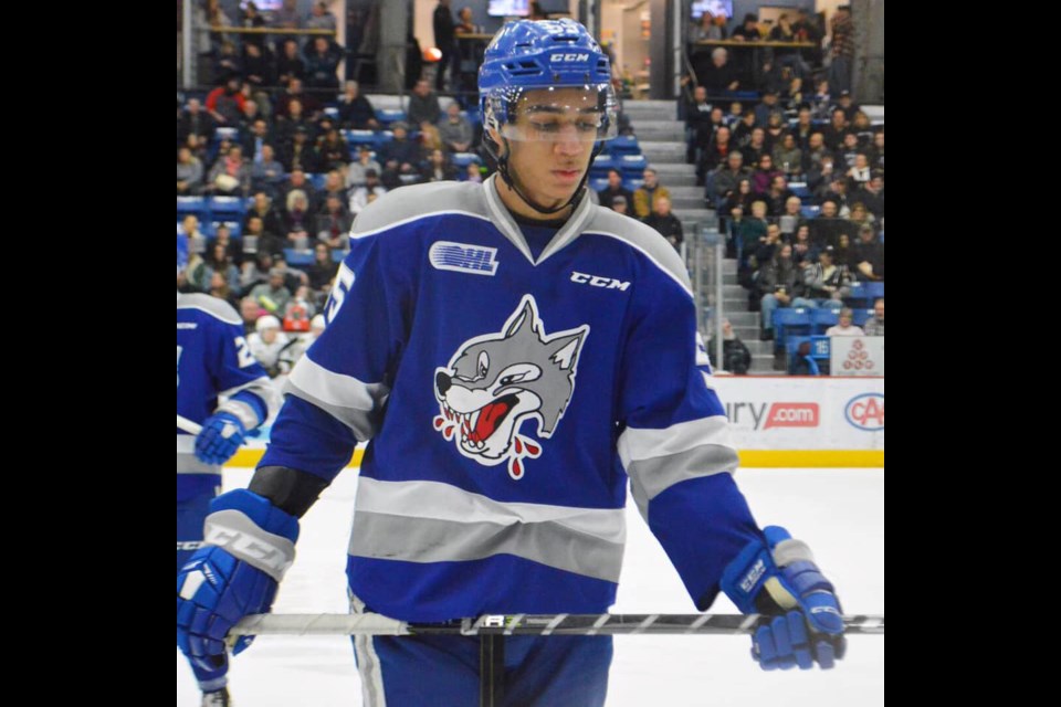 Wolves' Quinton Byfield at the Sudbury Arena during their 5-3 defeat by the London Knights (Supplied). 