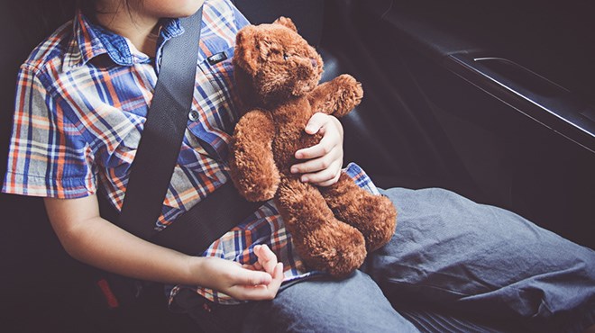 210419_KF_seatbelt_sized