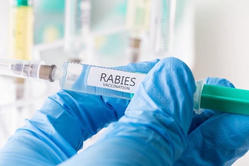 remain-diligent-guard-against-the-spread-of-rabies-advises-health