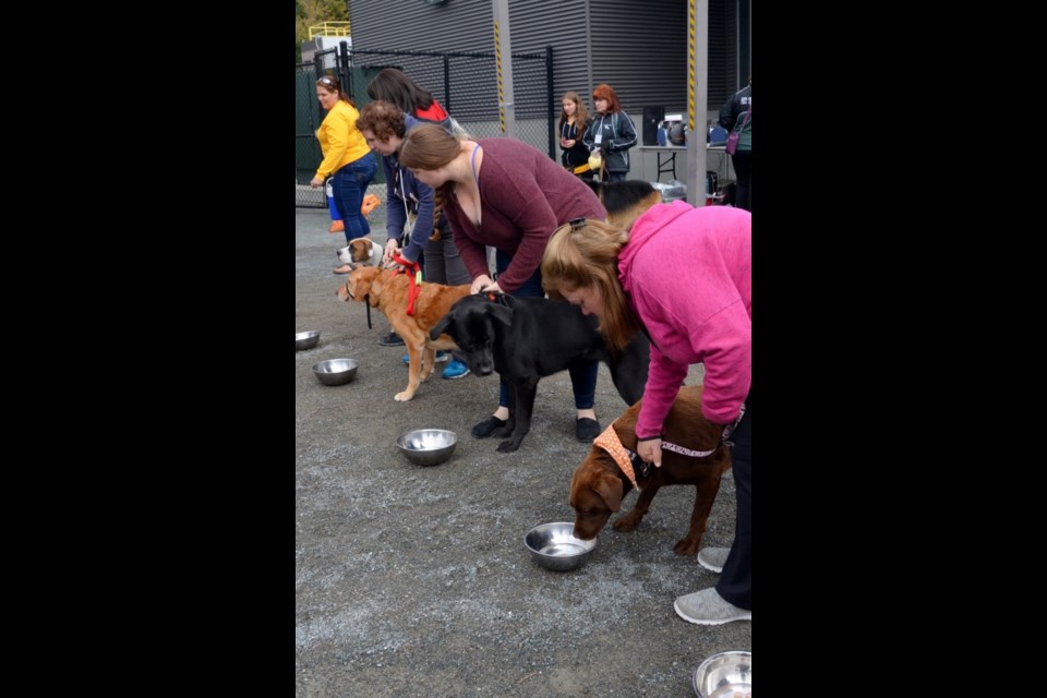 Woof shop fest 2018