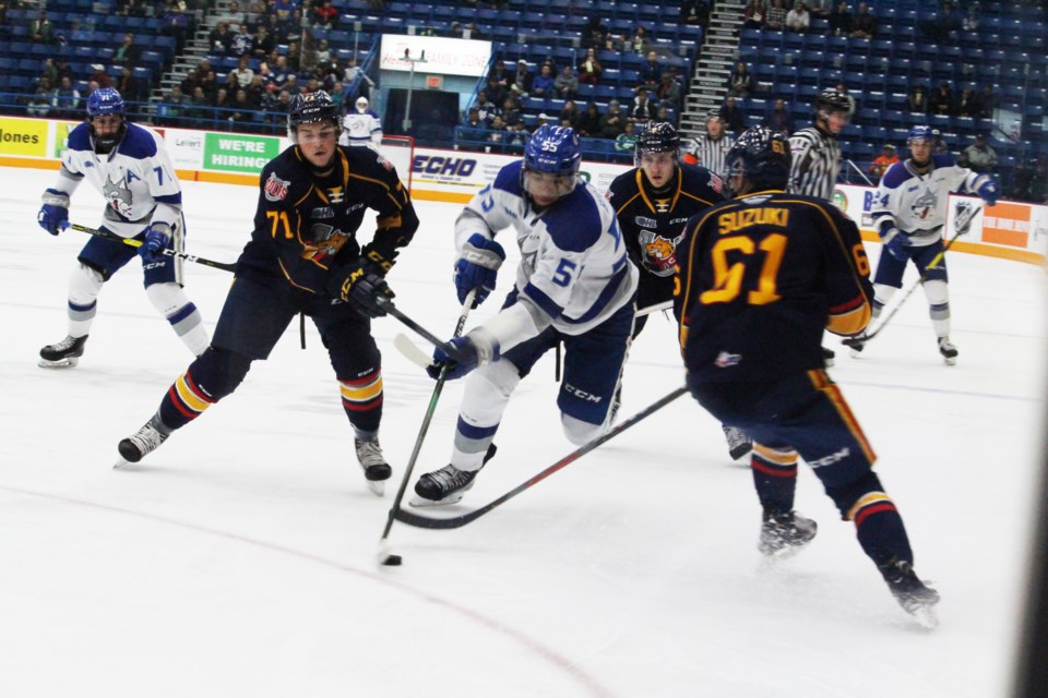 Barrie Colts Arena Seating Chart