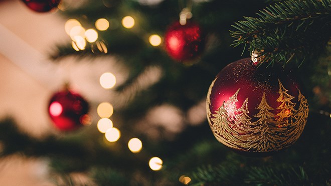 Tree-Cycle your Christmas Tree
