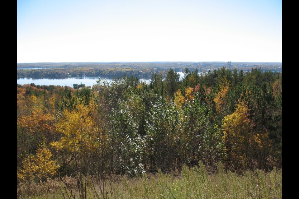 Once black and bare, regreened urban hilltops are now enjoyed as wooded greenspaces by people and wildlife alike, and help keep our lakes healthy.