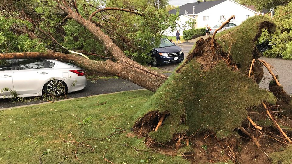 On July 9, 2018, a downburst ripped through Sudbury and caused extensive property damage, uprooted trees and snapped hydro poles. (File)