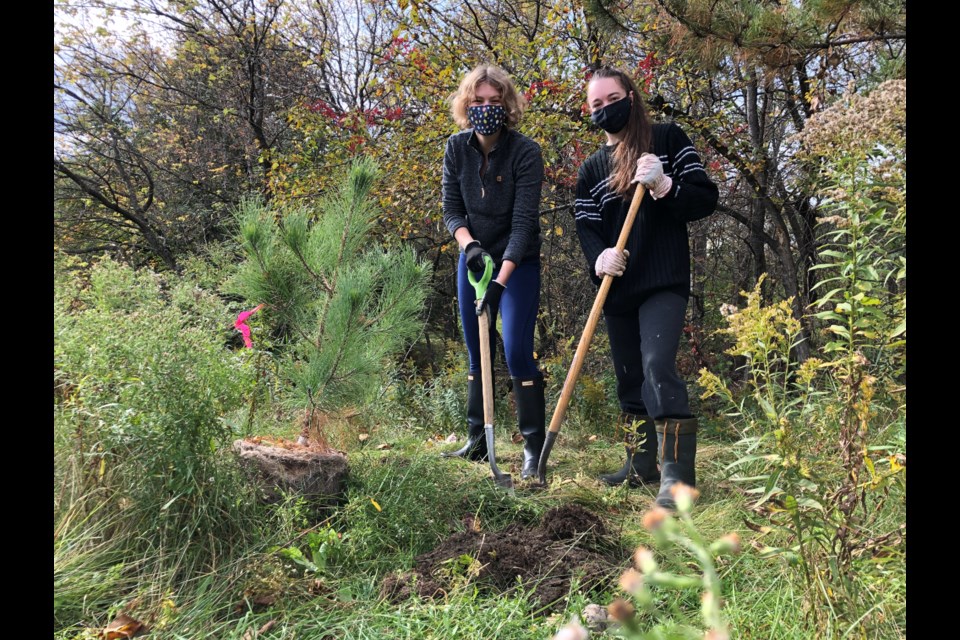 Josée Wahamaa (left) and Sophie Laurin were just two of the volunteers that helped plant trees and shrubs along the creek behind the New Sudbury Centre on Oct. 3. (Heather Green-Oliver/Sudbury.com)
