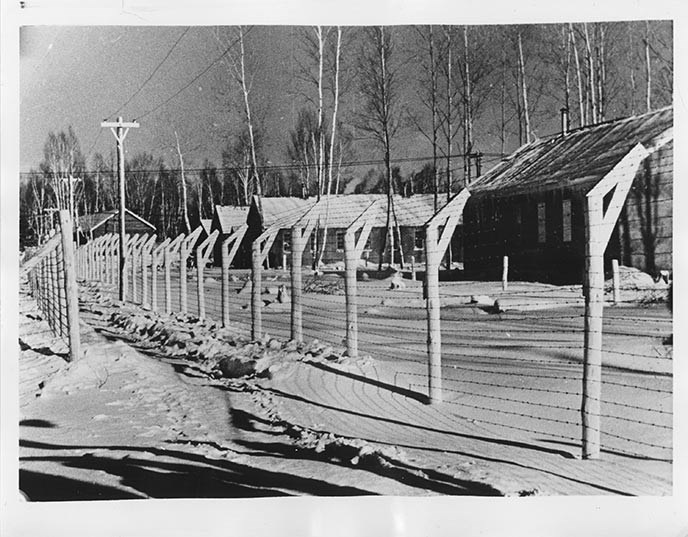 A press photograph of the barbed-wire barricade at the Petawawa Internment Camp in 1950. (Supplied/Italiancanadiansww2.ca)