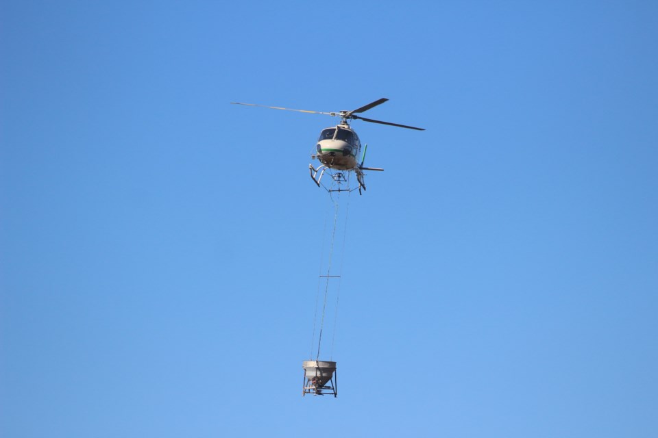 Vale’s aerial seeding program is under way in the Coniston area. 