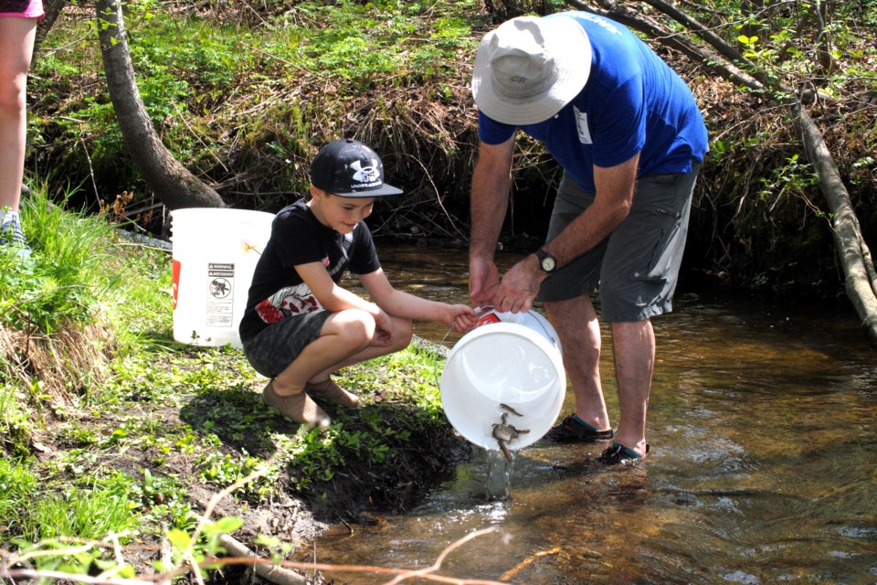 Trayden Gregoris, 7, releases trout into Junction Creek with help from Junction Creek Stewardship Committee board member and volunteer Franco Mariotti.