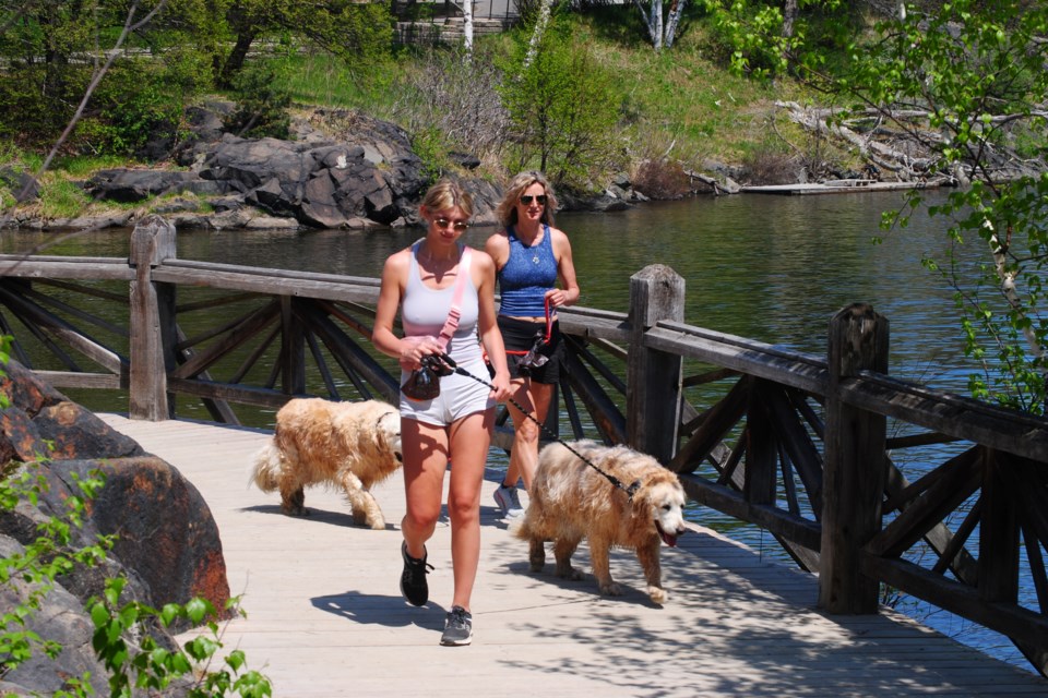 Jessica Tillson and Tricia Goeldner take advantage of the day’s warm temperature by walking dogs Kahlua and Bailey at Bell Park earlier today.