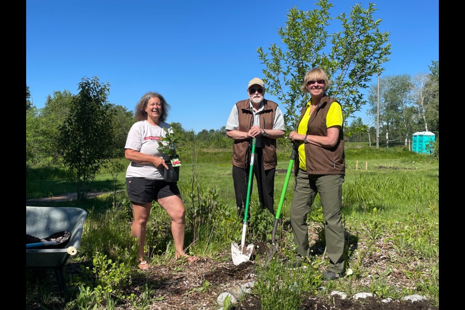 Rachelle Niemela (left), Wayne Hugli (middle), Laura Foreshew (right) showed up to the Twin Forks Community Garden on a sunny Friday morning to plant a Juliet cherry tree.