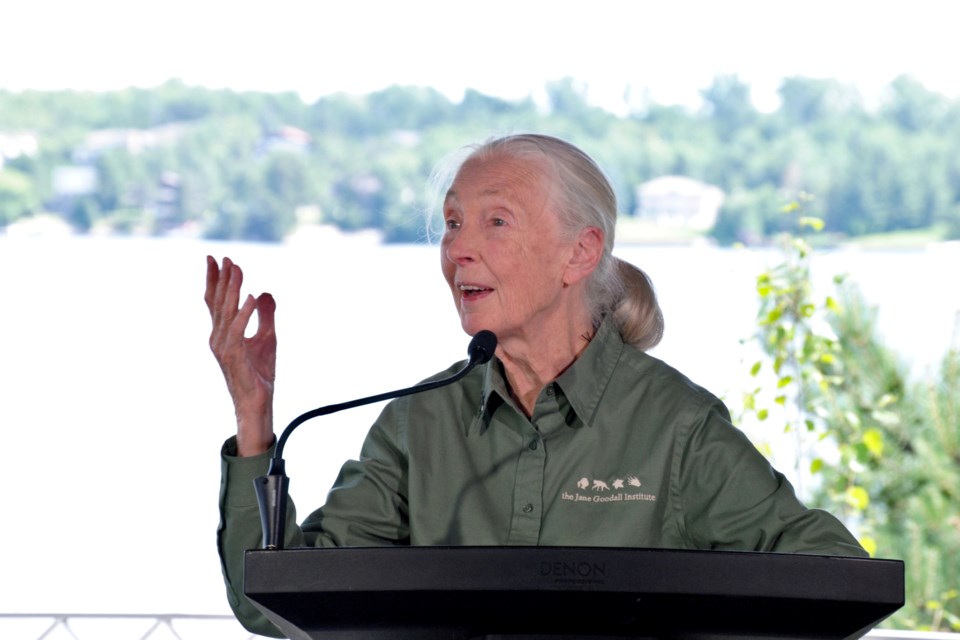 Dr. Jane Goodall delivers remarks at today’s regreening celebration at Bell Park.