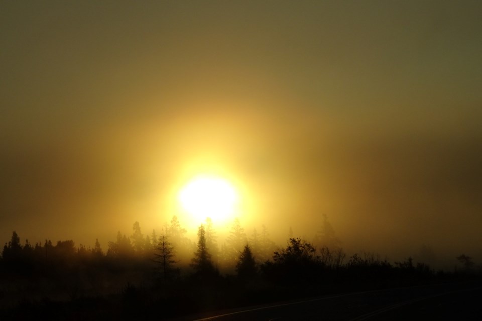160922_linda-derkacz-foggy-dawnSized