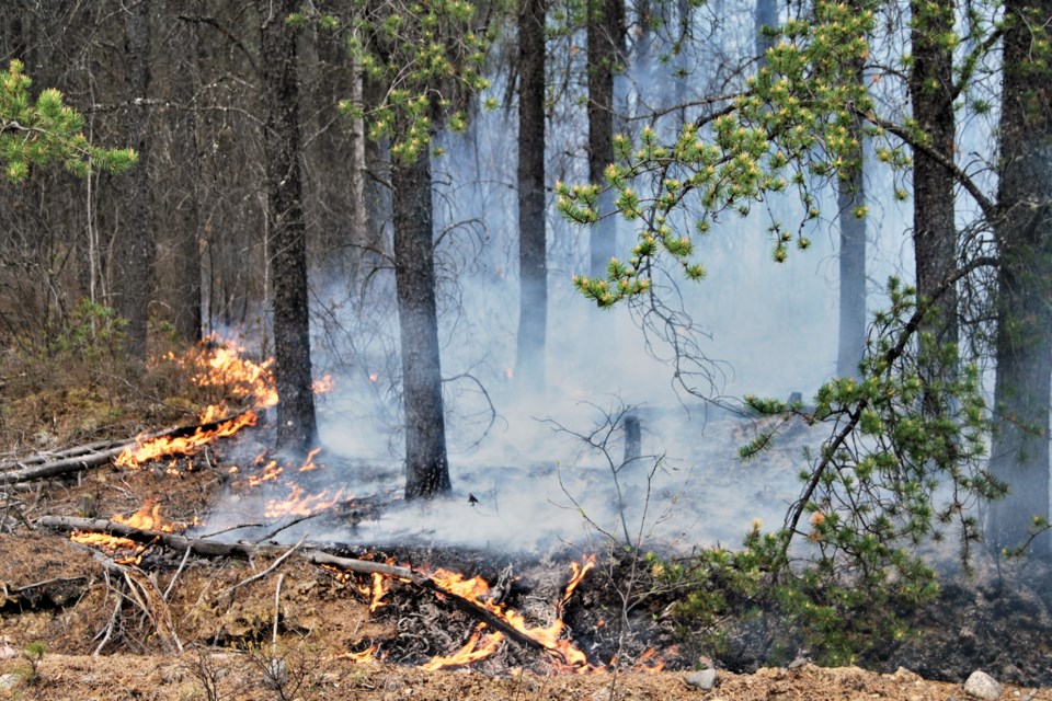 220823_lg_angus_reid_smoke_surveyphoto