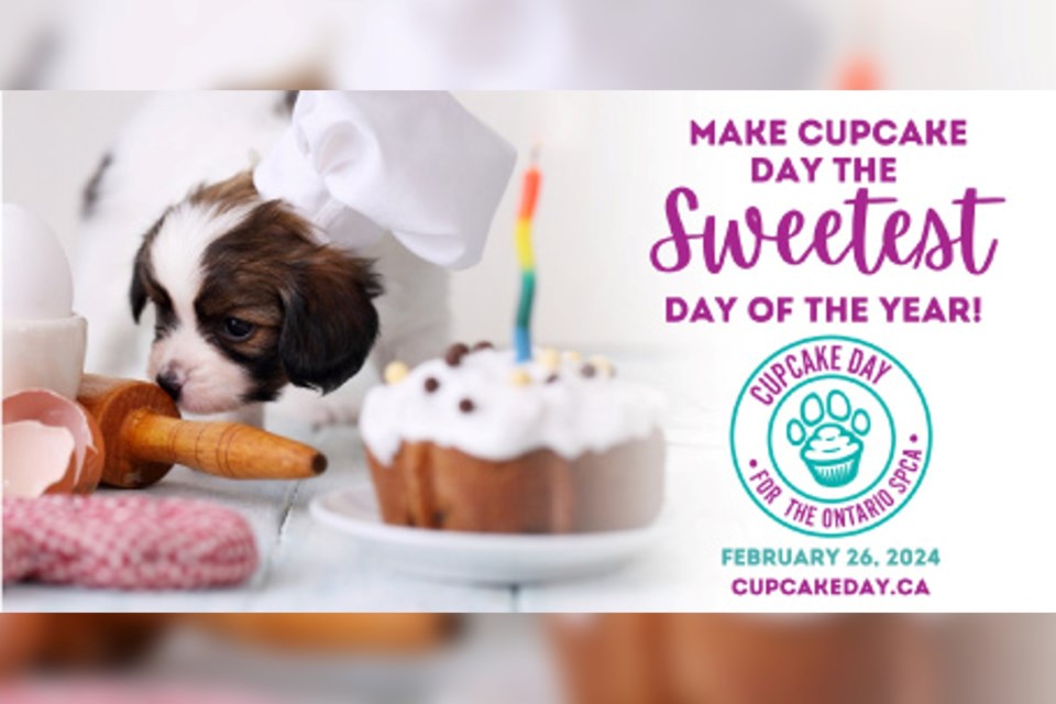 Spca Cupcake Day 2024 Kelsi Catherin