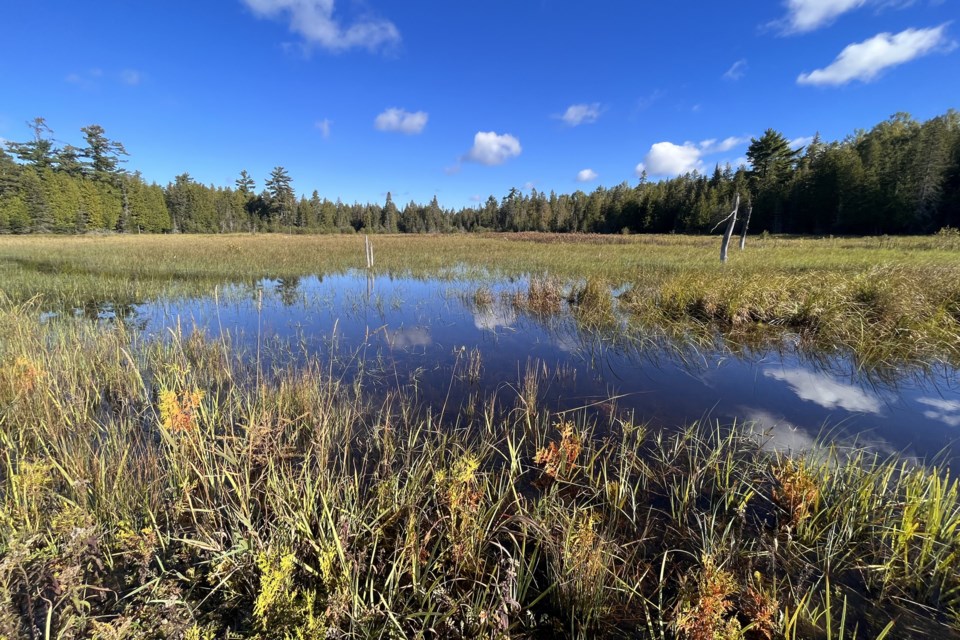 080224_lg_nature_conservancy_purchases-photo-1