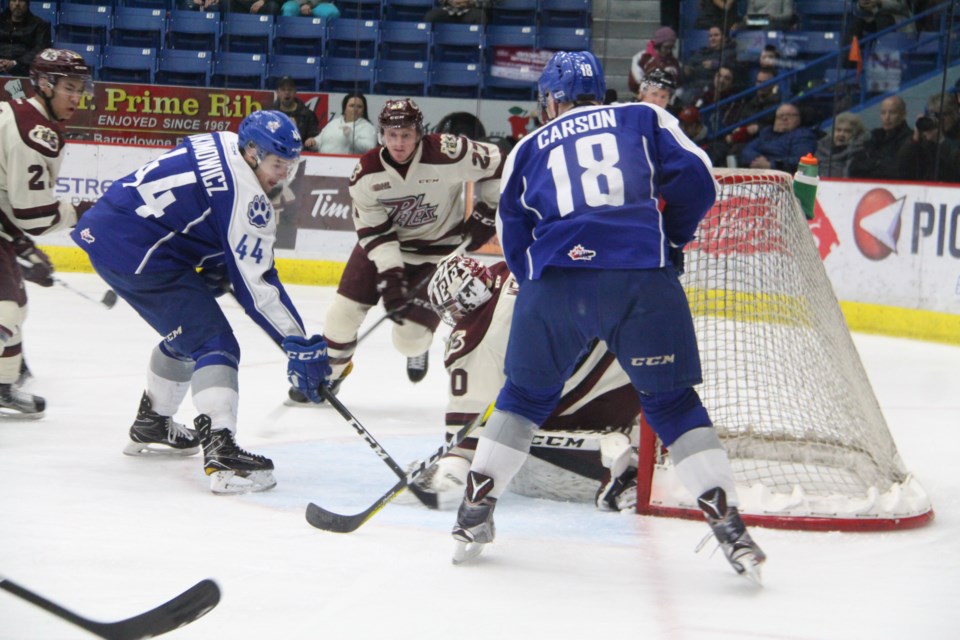 For the sixth time in their last 12 games the Sudbury Wolves needed overtime and despite a valiant effort it was not enough to beat the Peterborough Petes, who took the Friday night game 5-4. Photo: Matt Durnan
