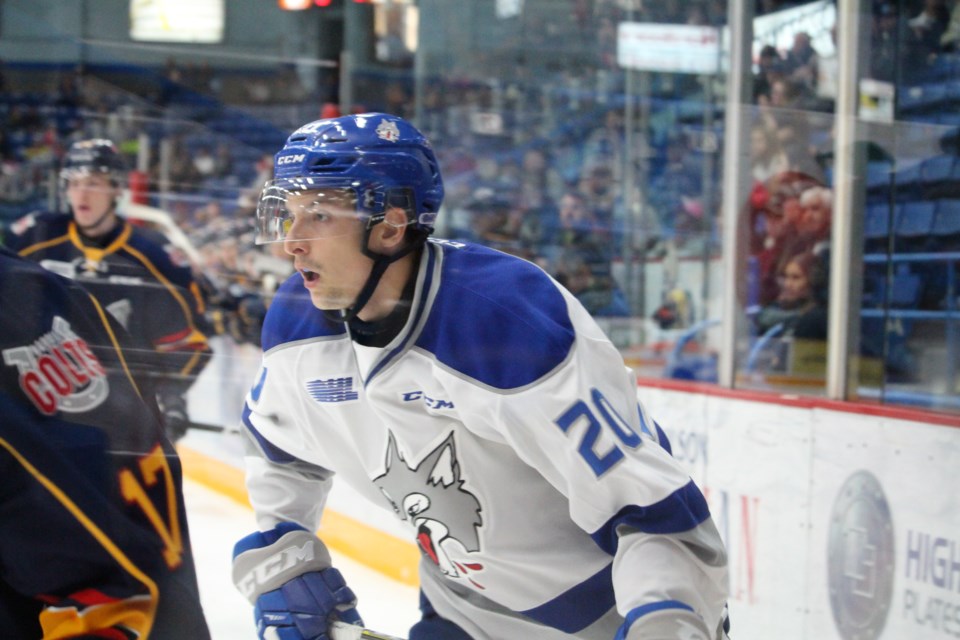 The Sudbury Wolves fell 4-1 to the Barrie Colts Friday night. (Photo: Heather Green-Oliver)
