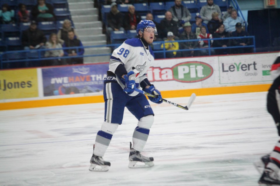 The Sudbury Wolves scored a lucky seven on Friday the 13th, burying the Ottawa 67's by a score of 7-1. (Photo: Matt Durnan)