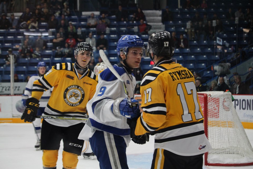 The Sudbury Wolves started strong, but five unanswered goals by the Sarnia Sting would lead to a 5-2 defeat at the hands of the OHL's top team. (Photo: Matt Durnan)
