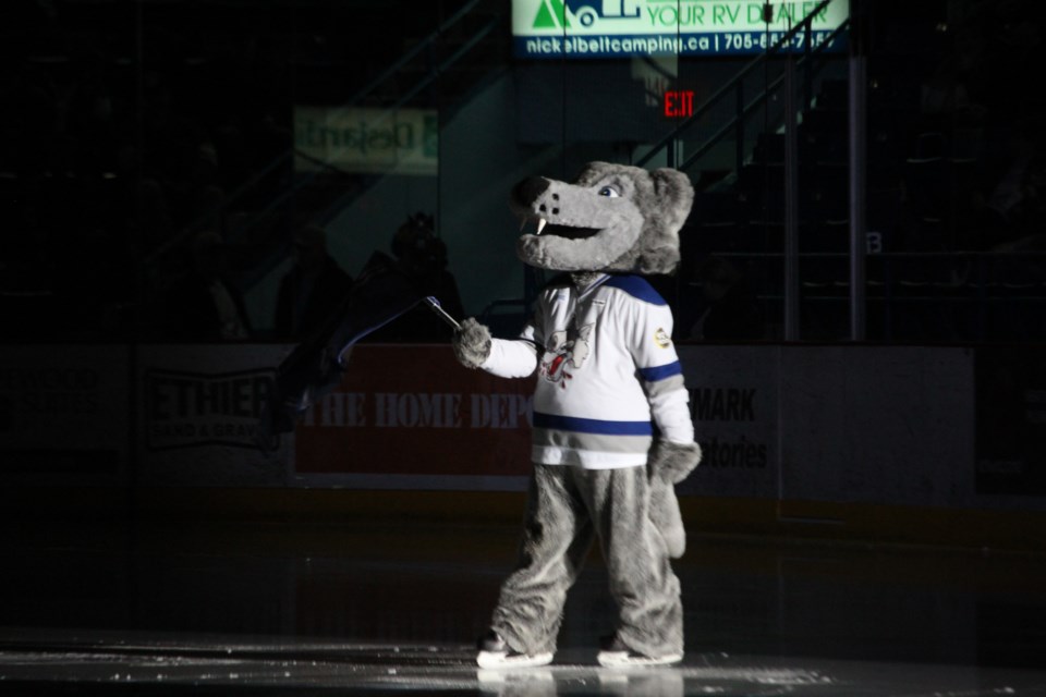 Sudbury Wolves mascot 'Howler' at the Sudbury Arena for the first round of the 2019 OHL Playoffs (Matt Durnan/ Sudbury.com)
