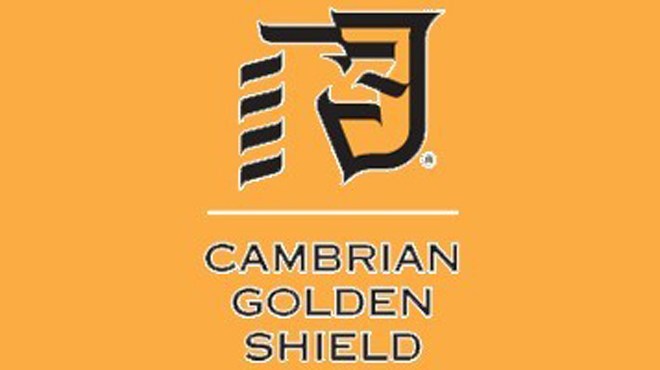 golden_shield