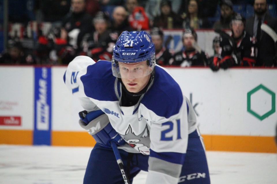 Sudbury Wolves defeat the Niagara IceDogs 6-0 during their annual Remembrance and Military Appreciation game at the Sudbury Arena. (Matt Durnan/ Sudbury.com)