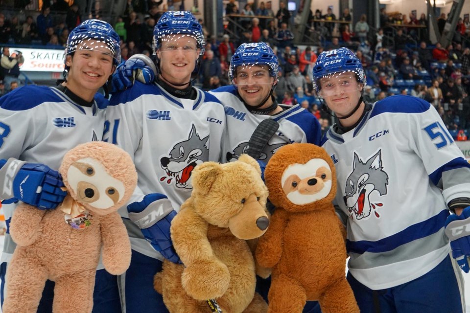Sudbury Wolves Teddy Bear Toss Night collects 1,600 stuffed animals on behalf of TD Toy Bank and the Salvation Army. (Supplied)