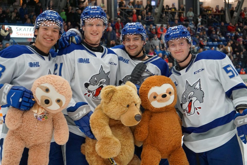 Toy Bank Wins Wolves Lose At Annual Teddy Bear Toss Game Teddy Bear Toss Game