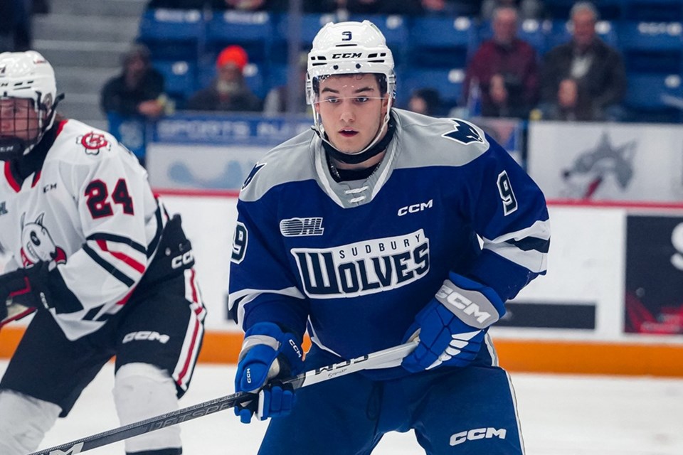 wolves-pound-dogs-6-1-sudbury-news