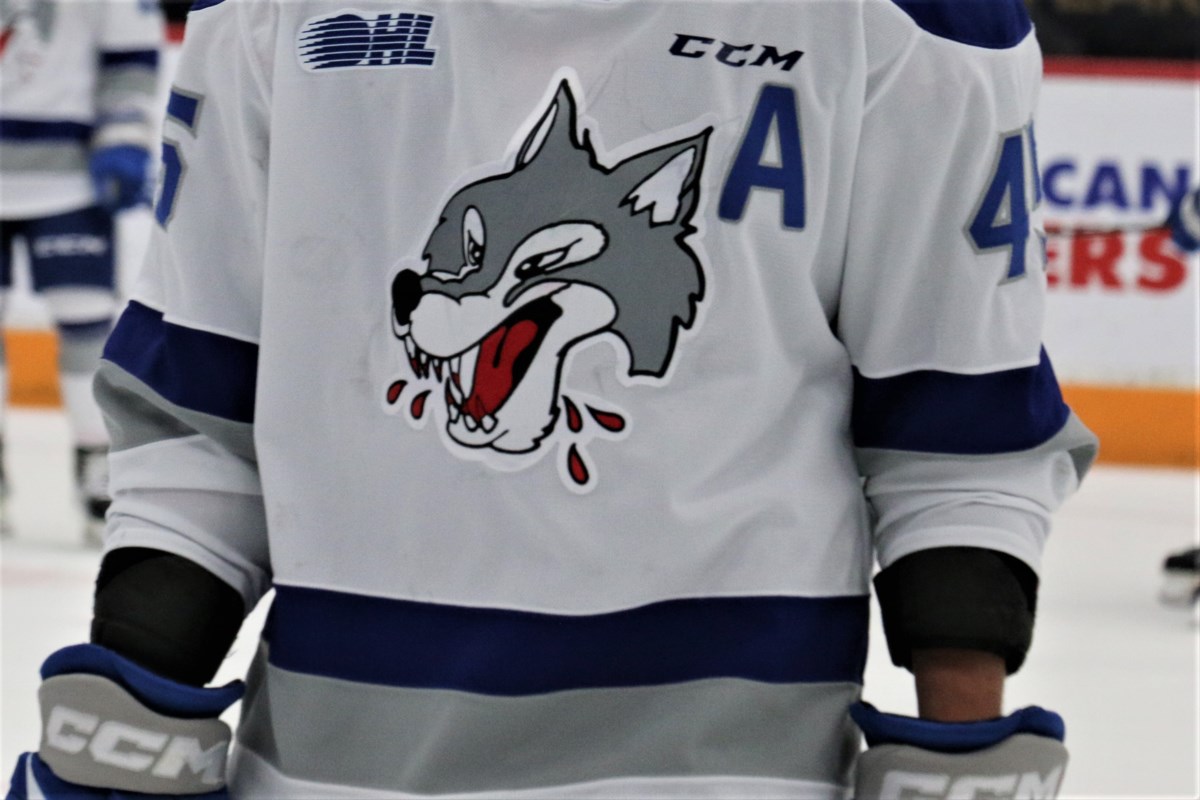 Kingston Frontenacs edge out Sudbury Wolves 54 in overtime Sudbury News