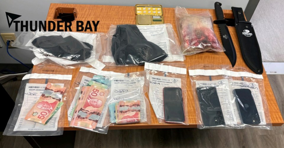 opp-thunderbay_cdsa_trafficstop